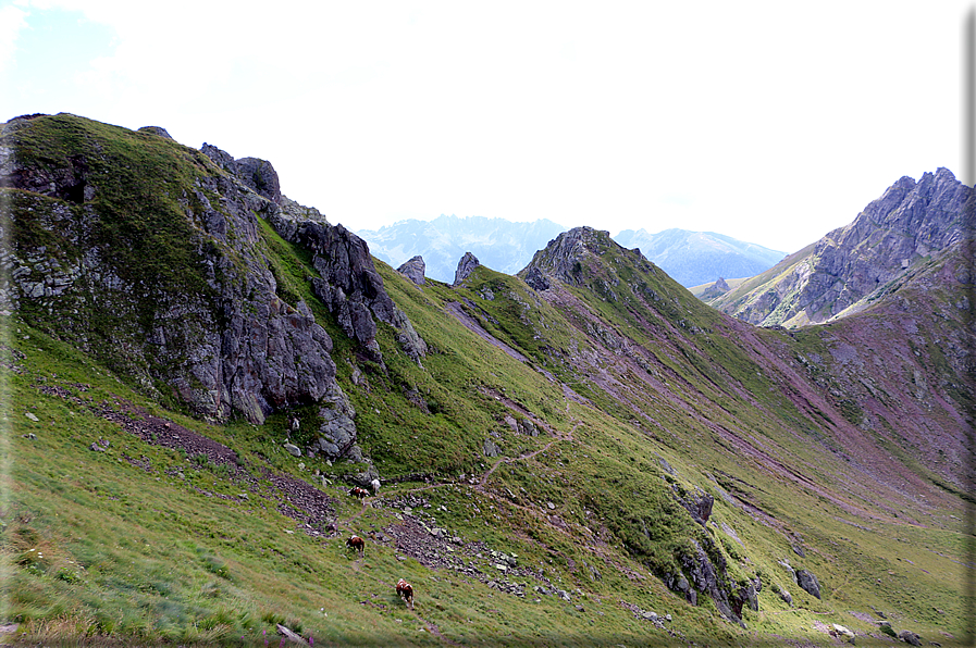 foto Forcella Pala del Becco